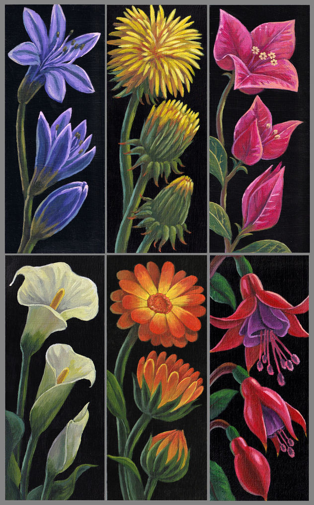 Florecimientos