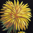 Florecimientos — detail