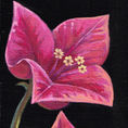 Florecimientos — detail