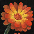Florecimientos — detail