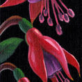 Florecimientos — detail