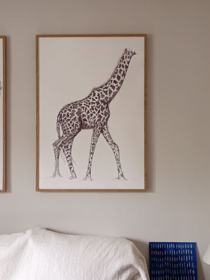 "GIRAFFE" | Anatomy...
