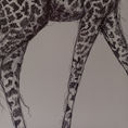"GIRAFFE" | Anatomy of a giraffe — front