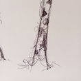 "GIRAFFE" | Anatomy of a giraffe — front