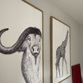 BUFFALO | Anatomy of a buffalo — front