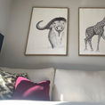 BUFFALO | Anatomy of a buffalo — front