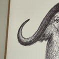 BUFFALO | Anatomy of a buffalo — front