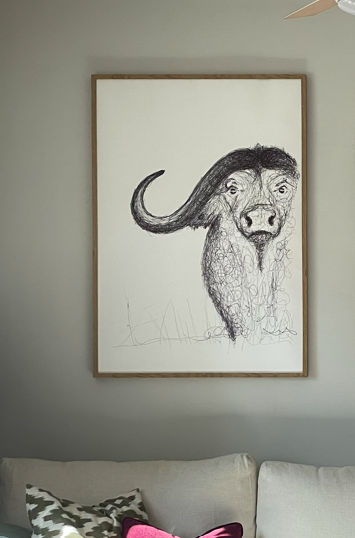 BUFFALO | Anatomy of a buffalo