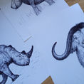RHINOCEROS | Anatomy of a Rhinoceros — front