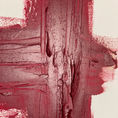 "PASIÓN" | RED STRUCTURE — frontal