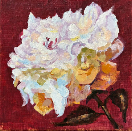 Rosa