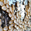 Brotes emergidos 7 — detalle