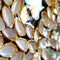Brotes emergidos 7 — detalle