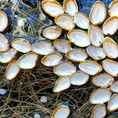 Brotes emergidos 7 — frontal