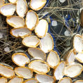 Brotes emergidos 7 — detalle