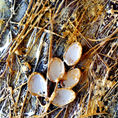 THE GOLDEN NEST — detail