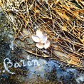 THE GOLDEN NEST — detail