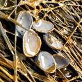 THE GOLDEN NEST — detail