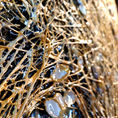 THE GOLDEN NEST — detail