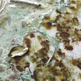 Permanence of the ephemeral 1 — front