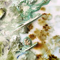 Permanence of the ephemeral 1 — detail