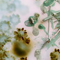 Permanence of the ephemeral 1 — detail