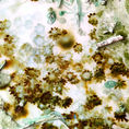 Permanence of the ephemeral 1 — detail