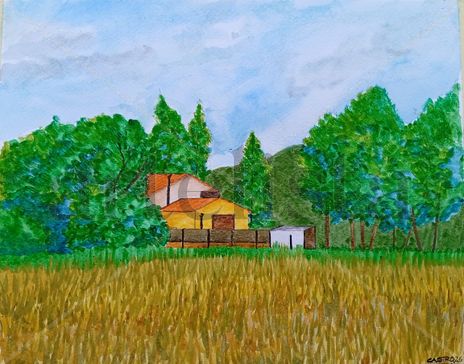 Entre el Bosque