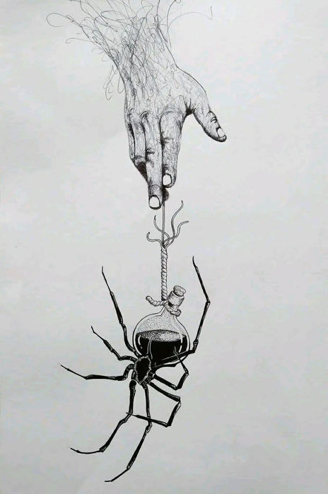 La fascinacion del...