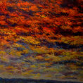 FUEGO DEL ALMA — front