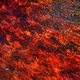 FUEGO DEL ALMA — front