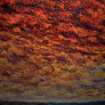 FUEGO DEL ALMA — front