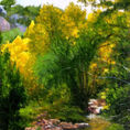 Alto Maestrazgo Landscape — detail