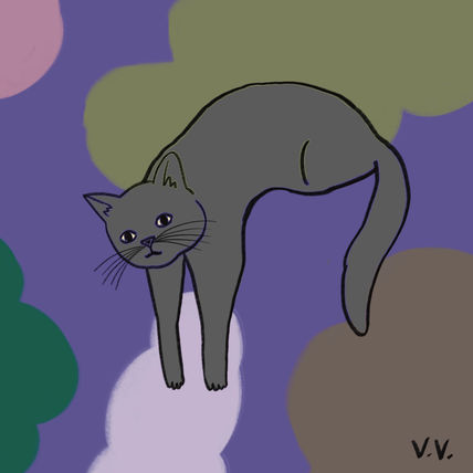 Gatito 2