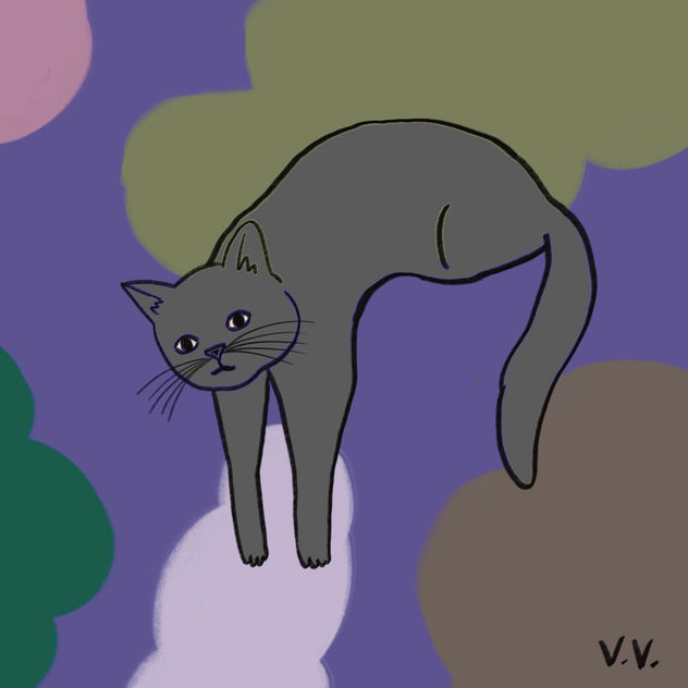 Gatito 2