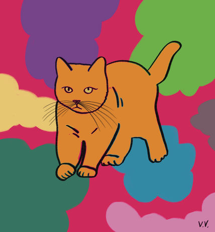 Gatito 1