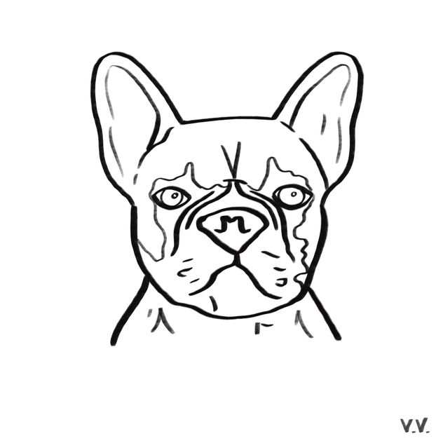 Dog 29