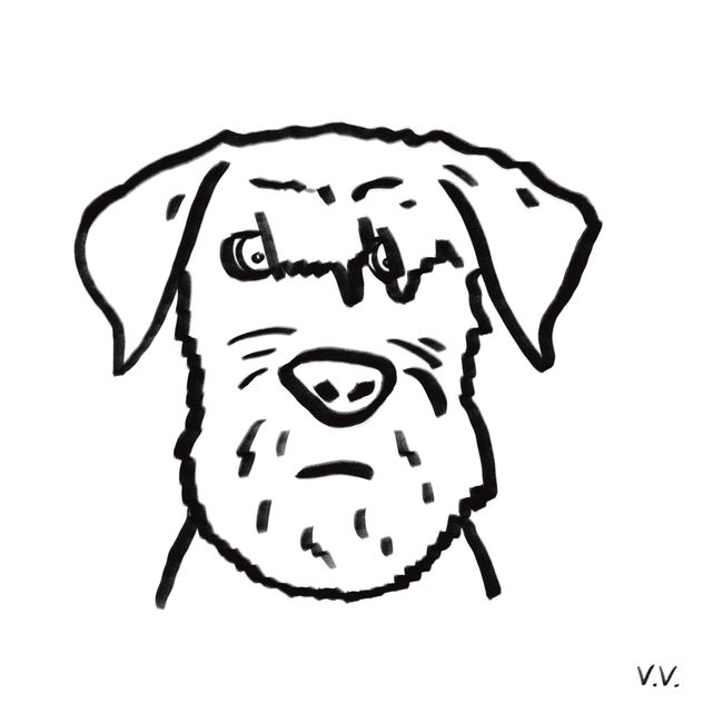 Dog 25