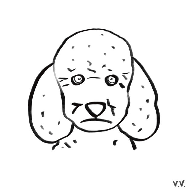 Dog 27