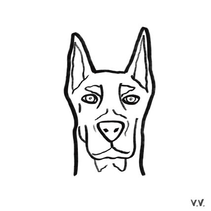 Perrete 13