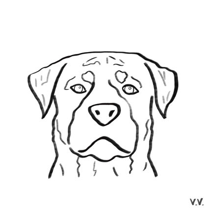 Perrete 8