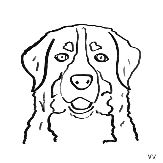 Dog 7