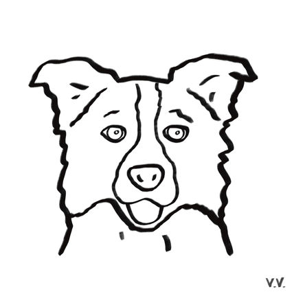 Perrete 9