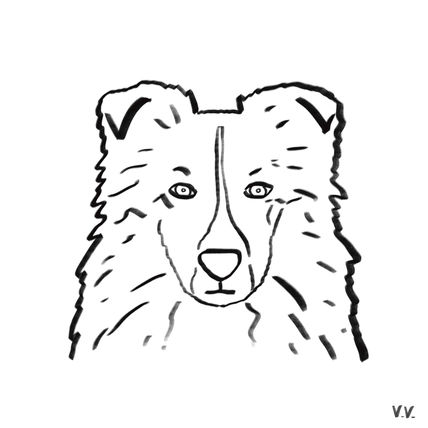 Perrete 15