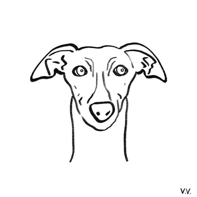 Dog 18
