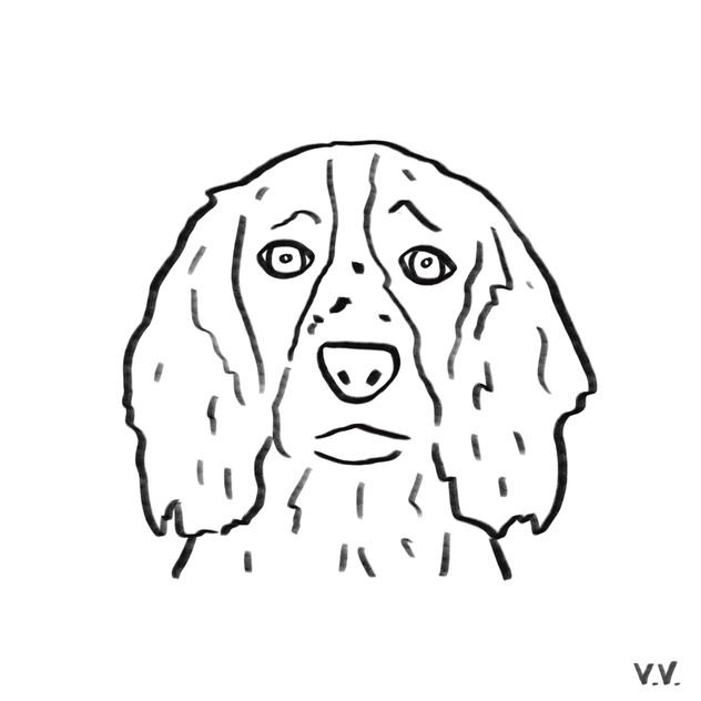 Dog 19
