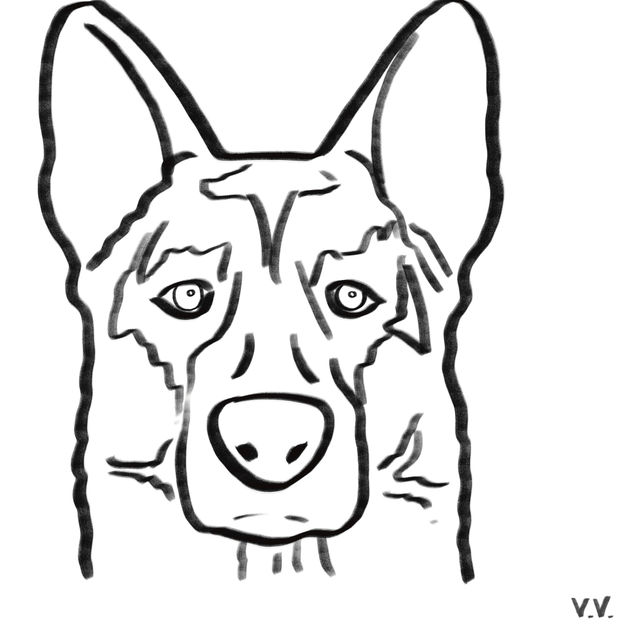 Dog 20