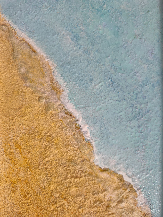 Calm shoreline
