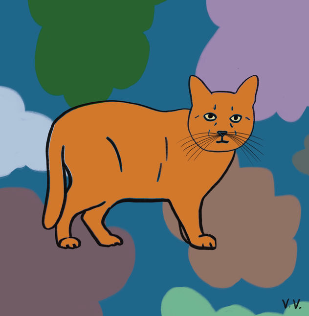Gatito 6