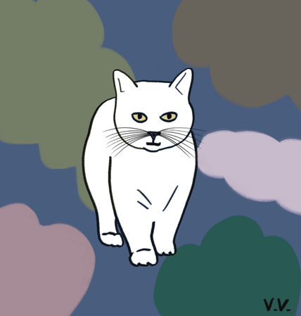 Gatito 5
